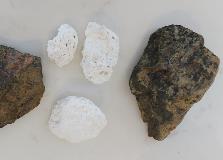 Samples from Lake Salda